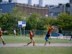 0DIA 1984 RAVA PUPS 1